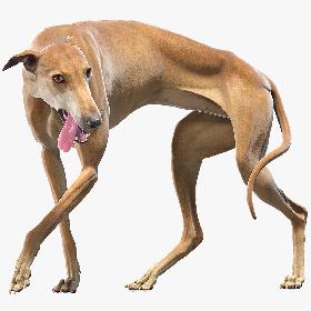 Tracked Excavator Generic construction equipment